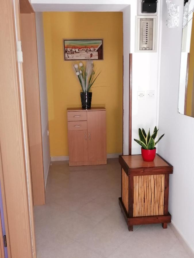 Apartman Bruna Novigrad Istria Exterior foto
